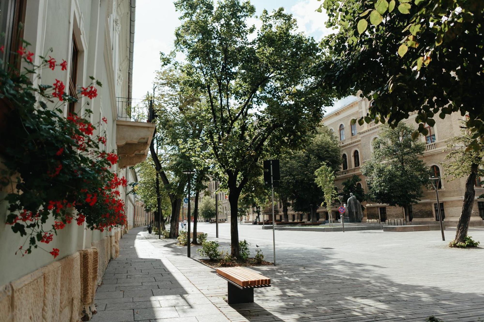 Contessa Central Studio Kaloşvar Dış mekan fotoğraf
