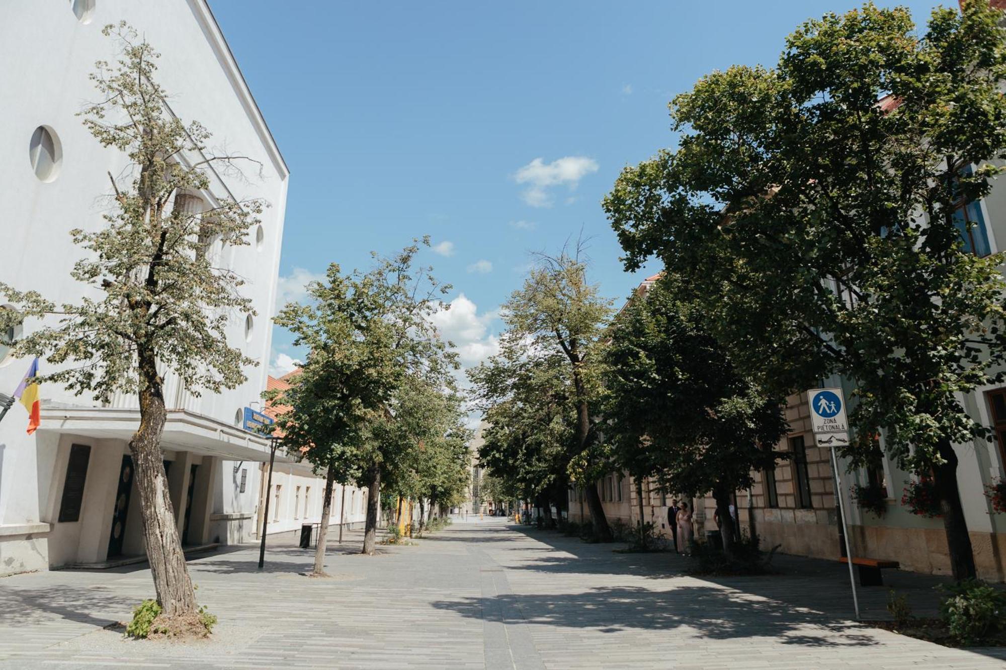 Contessa Central Studio Kaloşvar Dış mekan fotoğraf